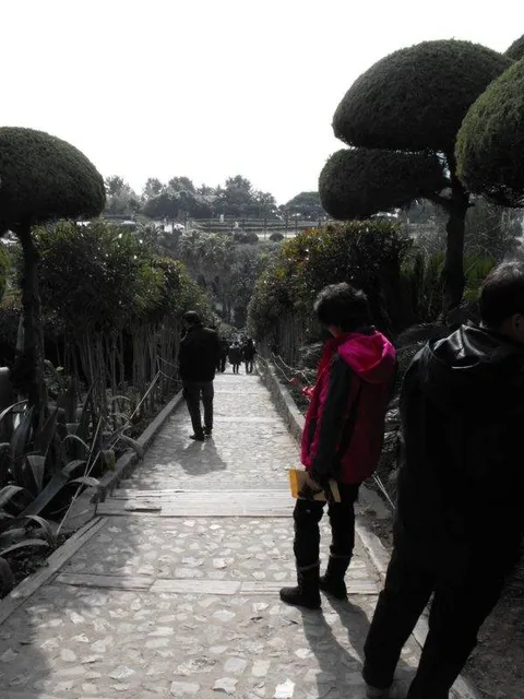 Destination: Geoje-do / Oedo Paradise Island - a gorgeous destination in South Korea - South Korea -