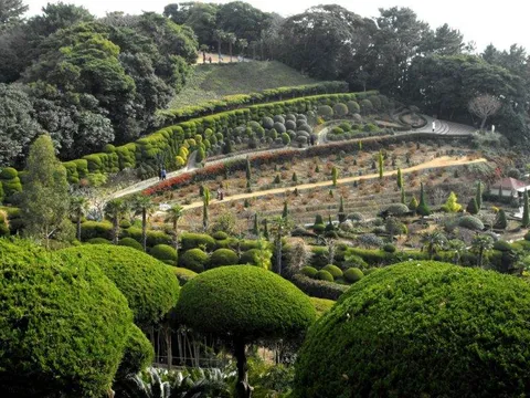 Destination: Geoje-do / Oedo Paradise Island - a gorgeous destination in South Korea - South Korea -