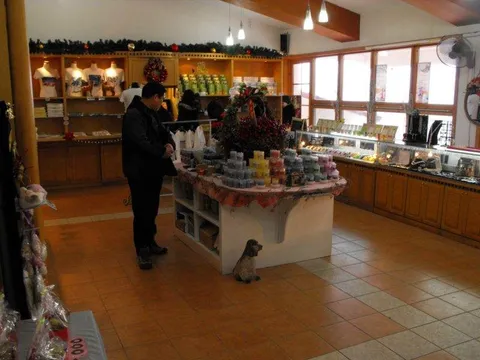 Destination: Geoje-do / Oedo Paradise Island - a gorgeous destination in South Korea - South Korea -