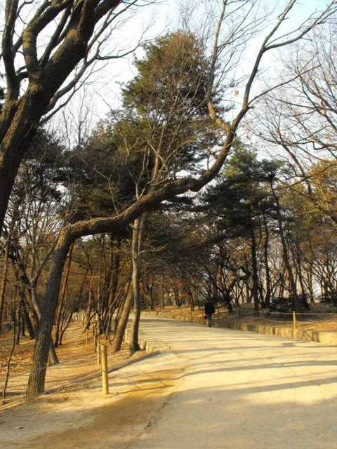 Destination: Jongmyo royal shrine (Seoul, South Korea) - South Korea -