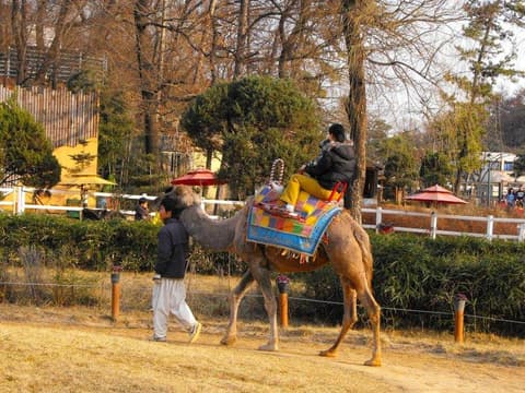 Destination: Children's Grand Park (Seoul, South Korea) - South Korea -