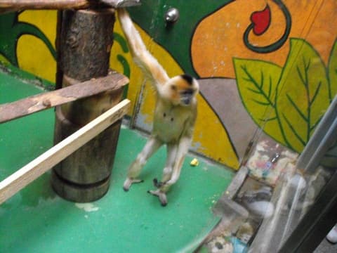 Destination: Children's Grand Park (Seoul, South Korea) - South Korea -