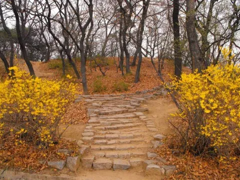 Destination: Olympic Park, part 2 (Seoul, South Korea) Destination: Olympic Park, part 2 (Seoul, South Korea) - South Korea -