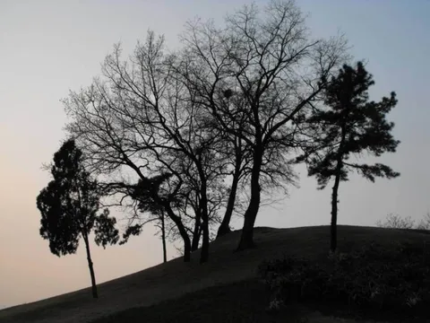 Destination: Olympic Park, part 2 (Seoul, South Korea) Destination: Olympic Park, part 2 (Seoul, South Korea) - South Korea -
