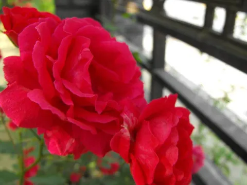 Destination: Hyochang Park - a historic park with tombs (Seoul, South Korea) - South Korea -