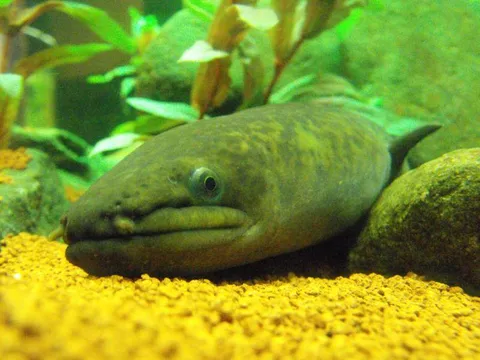 Destination: Busan Aquarium (Busan, South Korea) Destination: Busan Aquarium (Busan, South Korea) - South Korea -