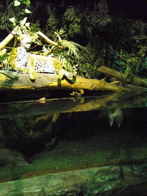 Destination: Busan Aquarium (Busan, South Korea) Destination: Busan Aquarium (Busan, South Korea) - South Korea -