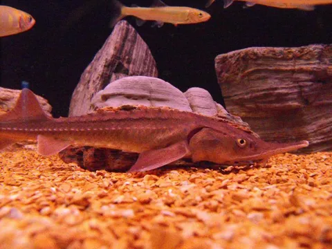 Destination: Busan Aquarium (Busan, South Korea) Destination: Busan Aquarium (Busan, South Korea) - South Korea -