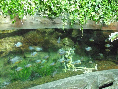 Destination: Busan Aquarium (Busan, South Korea) - South Korea -