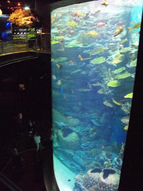 Destination: Busan Aquarium (Busan, South Korea) Destination: Busan Aquarium (Busan, South Korea) - South Korea -