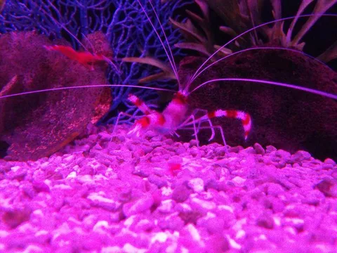 Destination: Busan Aquarium (Busan, South Korea) Destination: Busan Aquarium (Busan, South Korea) - South Korea -