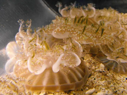 Destination: Busan Aquarium (Busan, South Korea) Destination: Busan Aquarium (Busan, South Korea) - South Korea -