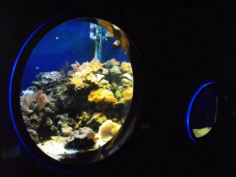 Destination: Busan Aquarium (Busan, South Korea) Destination: Busan Aquarium (Busan, South Korea) - South Korea -