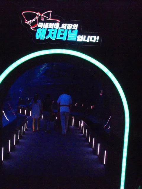Destination: Busan Aquarium (Busan, South Korea) Destination: Busan Aquarium (Busan, South Korea) - South Korea -