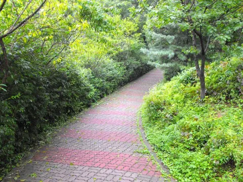 Destination: Haengju Fortress Park (Goyang, South Korea) Destination: Haengju Fortress Park (Goyang, South Korea) - South Korea -