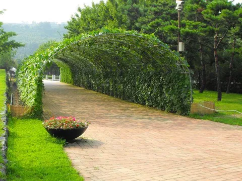 Destination: World Cup Park - the formerly futuristic football place (Seoul, South Korea) Destination: World Cup Park - the formerly futuristic football place (Seoul, South Korea) - South Korea -