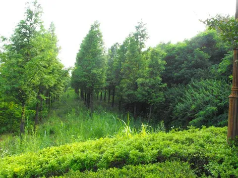 Destination: World Cup Park - the formerly futuristic football place (Seoul, South Korea) Destination: World Cup Park - the formerly futuristic football place (Seoul, South Korea) - South Korea -