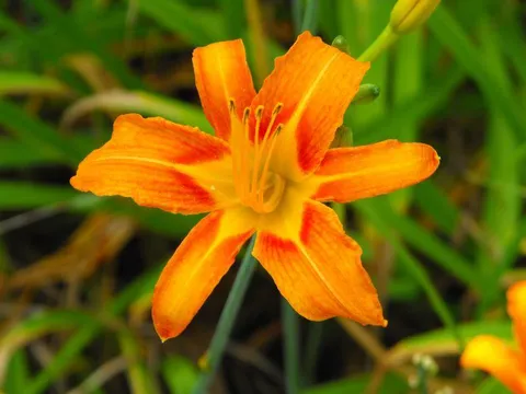 Destination: World Cup Park - the formerly futuristic football place (Seoul, South Korea) Destination: World Cup Park - the formerly futuristic football place (Seoul, South Korea) - South Korea -