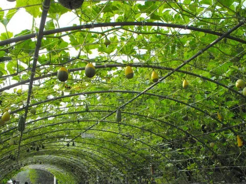 Destination: World Cup Park - the formerly futuristic football place (Seoul, South Korea) Destination: World Cup Park - the formerly futuristic football place (Seoul, South Korea) - South Korea -