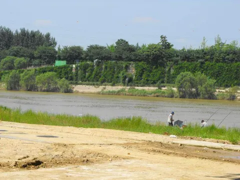 Destination: Seonyudo Park - plenty of nature on display (Seoul, South Korea) - South Korea -