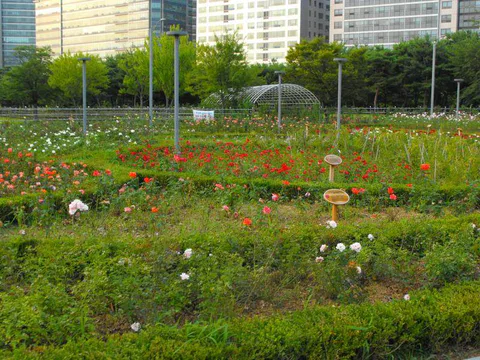 Destination: Lake Park - boring name, beautiful scenery (Ilsan / Goyang, South Korea) - South Korea -