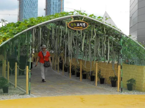 Destination: Incheon Global Fair and Festival 2009, part 1 - Festivals, South Korea -