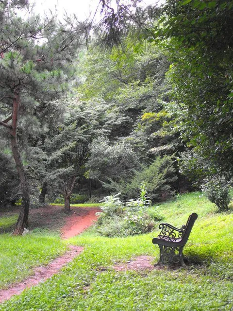 A tale of two tombs and a memorial hall - Destination: Uireung and Sunginwon, Seoul, South Korea - South Korea -