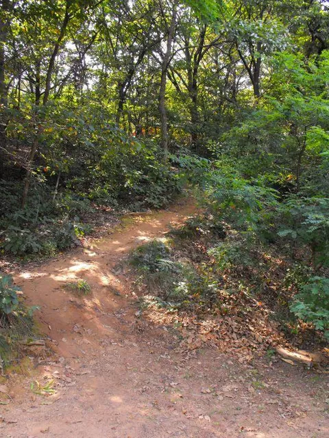 Destination: Yuldong Park - a new, natural area with old tombs in the middle of urban planning (Bundang / Seongnam, South Korea)) Destination: Yuldong Park - a new, natural area with old tombs in the middle of urban planning (Bundang / Seongnam, South Korea)) - South Korea -
