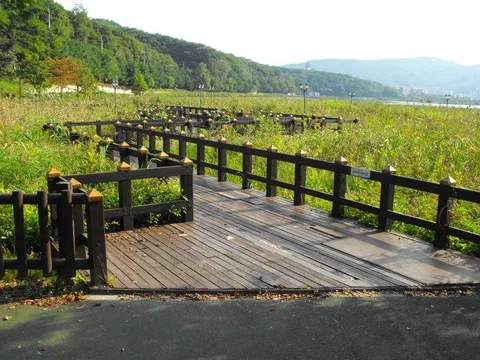 Destination: Yuldong Park - a new, natural area with old tombs in the middle of urban planning (Bundang / Seongnam, South Korea)) Destination: Yuldong Park - a new, natural area with old tombs in the middle of urban planning (Bundang / Seongnam, South Korea)) - South Korea -