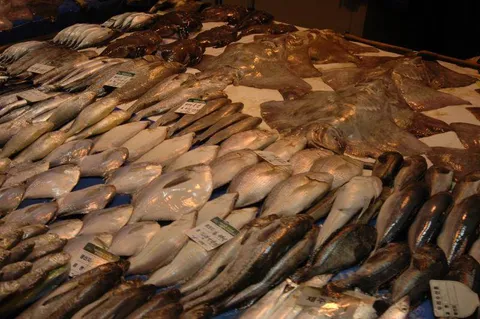 Destination: World Cup Park - the formerly futuristic football place (Seoul, South Korea) Destination: World Cup Park - the formerly futuristic football place (Seoul, South Korea) - South Korea -