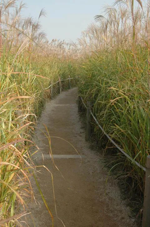 Destination: World Cup Park - the formerly futuristic football place (Seoul, South Korea) Destination: World Cup Park - the formerly futuristic football place (Seoul, South Korea) - South Korea -