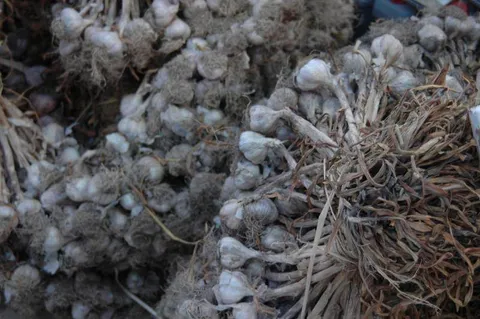 Destination: World Cup Park - the formerly futuristic football place (Seoul, South Korea) Destination: World Cup Park - the formerly futuristic football place (Seoul, South Korea) - South Korea -