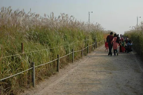 Destination: World Cup Park - the formerly futuristic football place (Seoul, South Korea) Destination: World Cup Park - the formerly futuristic football place (Seoul, South Korea) - South Korea -