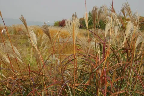 Destination: World Cup Park - the formerly futuristic football place (Seoul, South Korea) Destination: World Cup Park - the formerly futuristic football place (Seoul, South Korea) - South Korea -