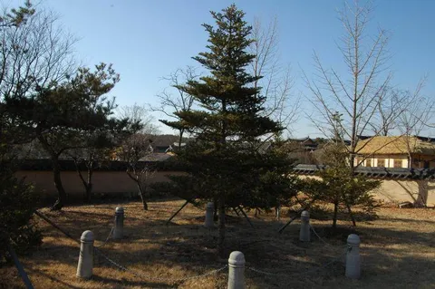 Destination: A day in Andong (Andong City Tour) - South Korea -