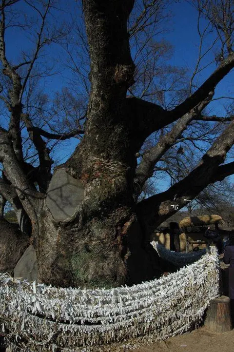 Destination: A day in Andong (Andong City Tour) - South Korea -