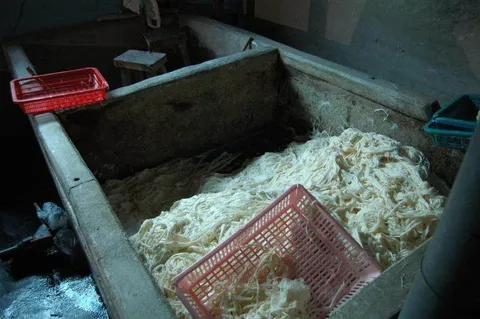 Destination: A day in Andong (Andong City Tour) - South Korea -