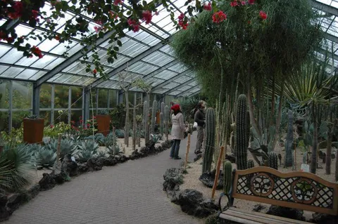 Destination: Jeju, part 3 (South Korea) Destination: Jeju, part 3 (South Korea) - South Korea -