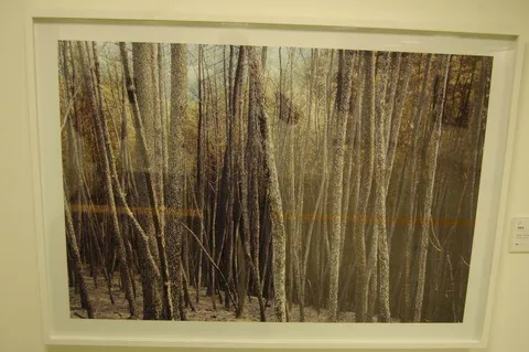 Destination: Seoul International Photography Festival (2010) (South Korea) - Festivals, South Korea -