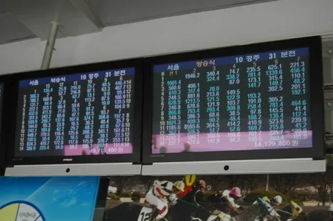 Destination: Seoul Racecourse Park - or - how to bet on the horses (South Korea) Destination: Seoul Racecourse Park - or - how to bet on the horses (South Korea) - South Korea -