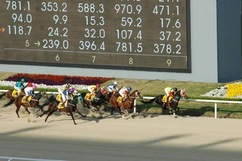 Destination: Seoul Racecourse Park - or - how to bet on the horses (South Korea) Destination: Seoul Racecourse Park - or - how to bet on the horses (South Korea) - South Korea -