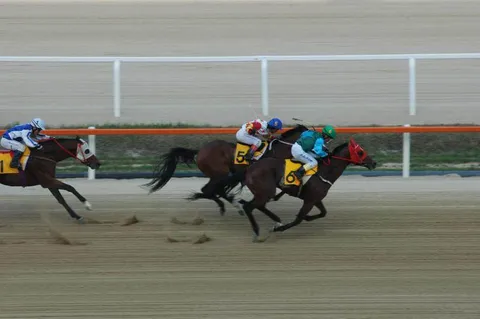 Destination: Seoul Racecourse Park - or - how to bet on the horses (South Korea) Destination: Seoul Racecourse Park - or - how to bet on the horses (South Korea) - South Korea -