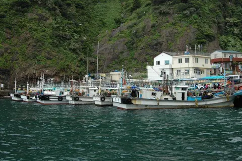 Destination: Ulleungdo - Korea's exotic island destination (part 1) - South Korea - South Korea -