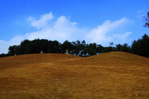 Destination: Yungneung and Geolleung - two Joseon Dynasty tombs worth exploring (Suwon area, Gyeonggi-do) Destination: Yungneung and Geolleung - two Joseon Dynasty tombs worth exploring (Suwon area, Gyeonggi-do) - South Korea -