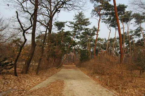 Destination: Taereung and the Royal Tomb Museum (Seoul, South Korea) - South Korea -