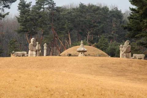 Destination: Taereung and the Royal Tomb Museum (Seoul, South Korea) - South Korea -