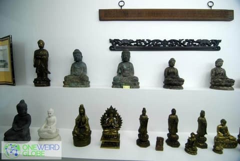 Destination: Jupil Spider Museum (Namyangju, Gyeonggi-do, South Korea) Destination: Jupil Spider Museum (Namyangju, Gyeonggi-do, South Korea) - South Korea -