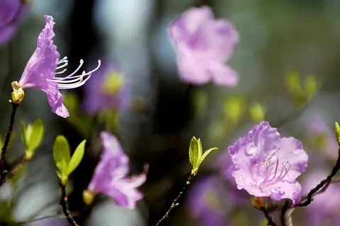 Revisited: Jongmyo - a permanent shrine for spirits of the past (Seoul, South Korea) - South Korea -