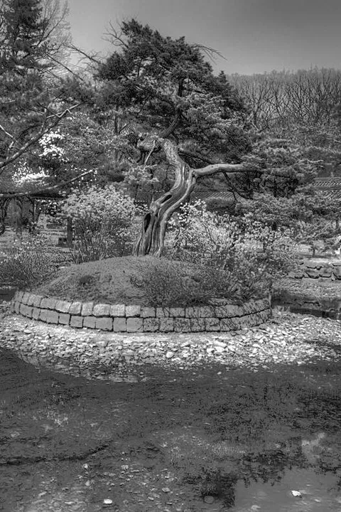 Revisited: Jongmyo - a permanent shrine for spirits of the past (Seoul, South Korea) - South Korea -