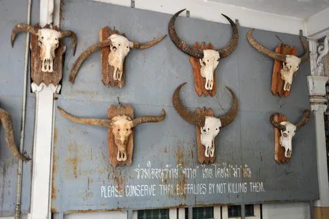 Destination: the Bridge over the River Kwai and a bizarre, fake war museum (Kanchanaburi, Thailand) - Thailand -